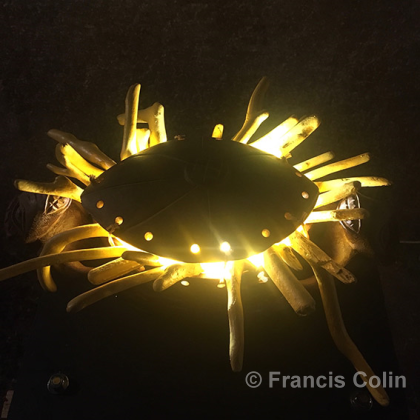 Couronne Francis Colin